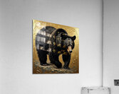 Bear Golden Dusk 2024 09 03 09 06 12  Acrylic Print