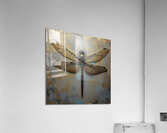 Good Luck Golden Dragonfly 2024 09 03 10 42 01 Acrylic Print