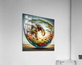 55 Acrylic Print