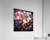 Colourful Irises in Full Bloom Acrylic Print