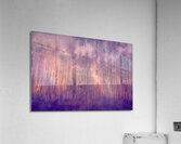 Costa Rica Tree Lineup Sunrise Abstract  Acrylic Print