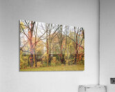 Along the Niagara River Acrylic Print