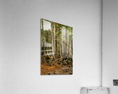 Beaver Valley Trippers Acrylic Print