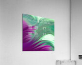 Life Unfolding Acrylic Print