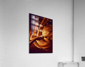 Amber Enigma Acrylic Print