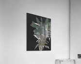 Abstract Green Lily Flower Bouquet Acrylic Print