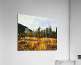 The Wicked Wood Acrylic Print