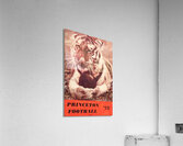 1975 princeton football art Acrylic Print