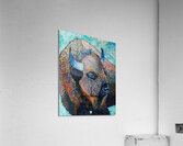 Bison Acrylic Print