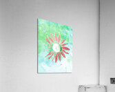 Abstract Pink Petaled Daisy Acrylic Print