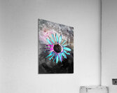 Abstract Neon Blue Daisy Acrylic Print