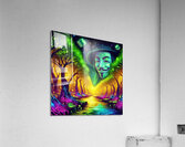 713 Acrylic Print
