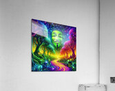 715 Acrylic Print