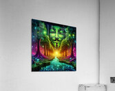 716 Acrylic Print
