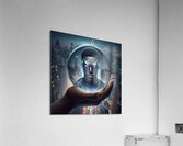 310 Acrylic Print