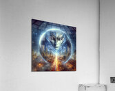 315 Acrylic Print