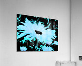 Abstract Daisy in Blue Acrylic Print