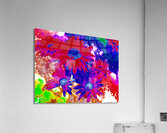 Abstract Bright Vibrant Daises  Acrylic Print