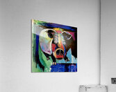 Meet Oink 2024 09 23 12 30 48 Acrylic Print