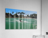 Bella September2024 1A Acrylic Print