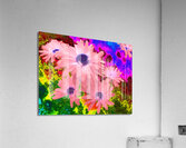 Abstract  Striking Daisy Flowers Acrylic Print