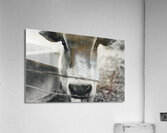 Rustic Elegance Acrylic Print