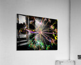  Abstract Colourful Angelica in the Evening Acrylic Print