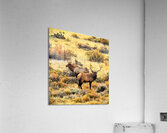 Friends in Fall Foliage Acrylic Print