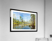 Down on the Bayou - HDR - White Border  - Black Border Acrylic Print