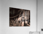 Future Acrylic Print