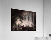 By Another Name Acrylic Print