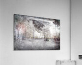 Snowmass Aspen Splendor 1 Acrylic Print