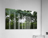 received 1592429961308042 Acrylic Print