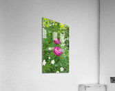 received 1064473248622939 Acrylic Print
