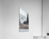 received 953094186849180 Acrylic Print