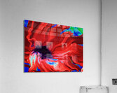 Abstract Dark Centred Red Flowing Daisy Flower Acrylic Print