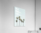 2402513 Acrylic Print