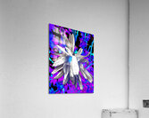 Abstract Monochrome Daisy Flower on a Psychedelic Background Acrylic Print