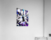 Abstract Vibrant Daisy Flower on a Psychedelic Background Acrylic Print