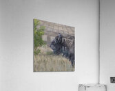 Friends Acrylic Print