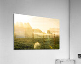 Beautiful sunrise in rural landscape with sun rays shining through the morning fog  Acrylic Print