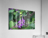 Carpenter Bee - Hungry for Pollen  Acrylic Print