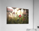 Fairy Garden Acrylic Print