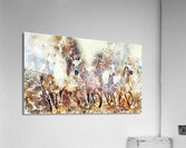 horses 2 enhanced Acrylic Print