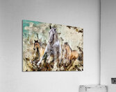 horses running oilpaint 2 Acrylic Print