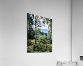 Scottish Highlands Landscape Acrylic Print