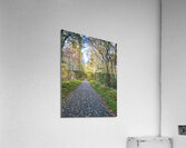 Scottish Highlands Autumn Walk Acrylic Print