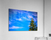 Z72 0656 Acrylic Print