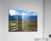 DSC 0605 Acrylic Print