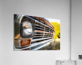 Z72 2287 Acrylic Print